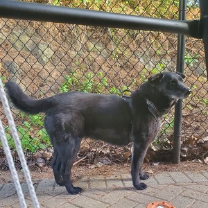 Fundraising Page: Mary Coleman